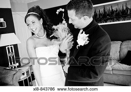 bride, groom and dog View Large Photo Image Stock Photograph - bride, groom and dog. Fotosearch