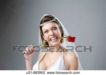 Bride in her 20s bites a red rose View Large Photo Image Stock Image - Bride in her 20s bites a red rose. Fotosearch