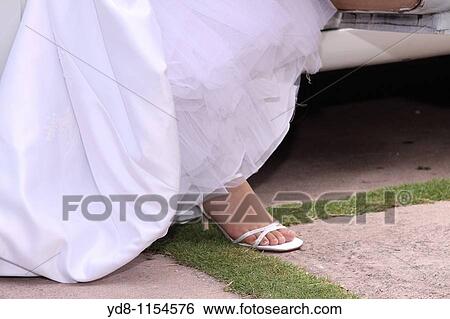 Bride, Miami, Florida, USA View Large Photo Image Stock Photograph - Bride, Miami, Florida, USA. Fotosearch