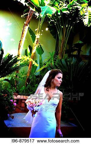 Bride View Large Photo Image Stock Photo - Bride. Fotosearch