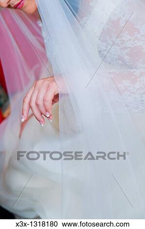 Bride with a wedding veil View Large Photo Image Stock Image - Bride with a wedding veil. Fotosearch