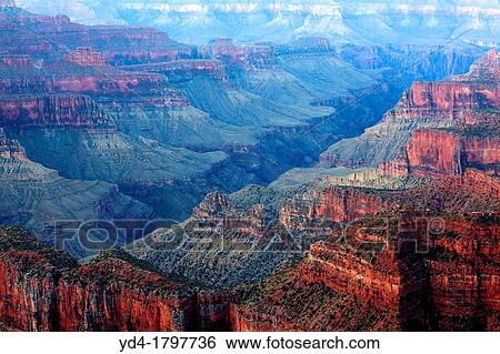 Bright Angel Canyon from Bright Angel Point, Grand Canyon North Rim, Grand Canyon National Park, Arizona View Large Photo Image Stock Photograph - Bright Angel Canyon from Bright Angel Point, Grand Canyon North Rim, Grand Canyon National Park, Arizona. Fotosearch