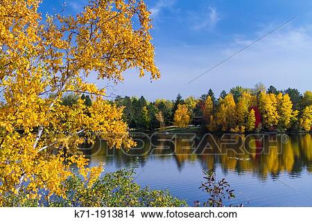Picture - Brilliant fall foliage reflected in Minocqua Lake near Minocqua, Wisconsin, USA. Fotosearch