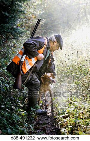 Britanny, gun dog. View Large Photo Image Stock Image - Britanny, gun dog.. Fotosearch