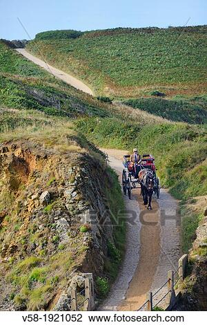 British Crown dependency, Isle of Sark, Little Sark, Horse cart driving towards La Coupee View Large Photo Image Stock Image - British Crown dependency, Isle of Sark, Little Sark, Horse cart driving towards La Coupee. Fotosearch