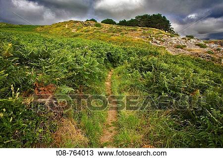 Brittany, Belle-Ile, north coast: houses, rocks and clouds View Large Photo Image Stock Image - Brittany, Belle-Ile, north coast: houses, rocks and clouds. Fotosearch