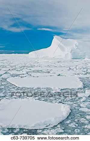 Broken first year floe ice mixed with brash ice below the Antarctic Circle around the Antarctic Peninsula during the summer months More icebergs are being created as global warming is causing the breakup of major ice shelves and glaciers View Large Photo Image Stock Photography - Broken first year floe ice mixed with brash ice below the Antarctic Circle around the Antarctic Peninsula during the summer months More icebergs are being created as global warming is causing the breakup of major ice shelves and glaciers. Fotosearch