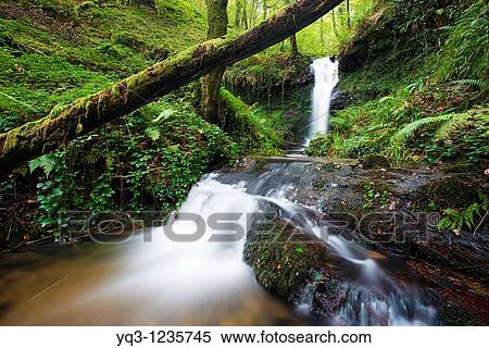 Brook, Callejamala. Otaes, Castro Urdiales, Cantabria, Spain. View Large Photo Image Stock Photography - Brook, Callejamala. Otaes, Castro Urdiales, Cantabria, Spain.. Fotosearch