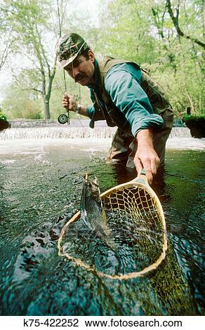 Brook trout View Large Photo Image Stock Image - Brook trout. Fotosearch