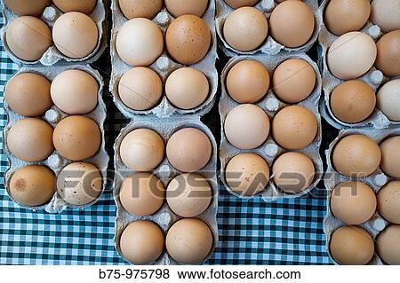 Brown eggs View Large Photo Image Stock Photo - Brown eggs. Fotosearch