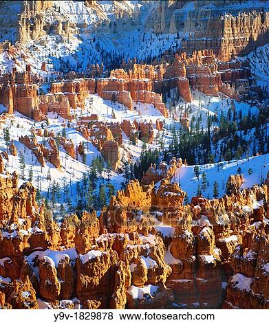 Bryce Canyon National Park Utah, USA View Large Photo Image Stock Photo - Bryce Canyon National Park Utah, USA. Fotosearch