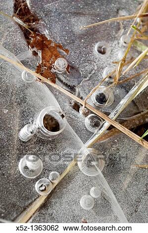 Bubbles frozen in layers of ice along a stream View Large Photo Image Stock Image - Bubbles frozen in layers of ice along a stream. Fotosearch