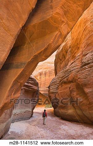 Buckskin Gulch Paria Canyon-Vermilion Cliffs Wilderness Arizona View Large Photo Image Stock Image - Buckskin Gulch Paria Canyon-Vermilion Cliffs Wilderness Arizona. Fotosearch