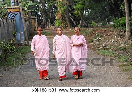 Buddhist nuns, Shan State, Myanmar, burma View Large Photo Image Stock Image - Buddhist nuns, Shan State, Myanmar, burma. Fotosearch
