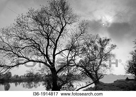 Bug river Poland Autumn View Large Photo Image Stock Photo - Bug river Poland Autumn. Fotosearch