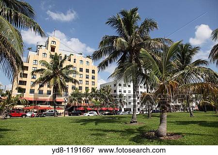 Buildings and Palms in Miami Beach, Florida, USA View Large Photo Image Stock Photo - Buildings and Palms in Miami Beach, Florida, USA. Fotosearch