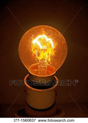 Bulb View Large Photo Image Stock Photo - Bulb. Fotosearch