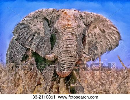 Stock Image - Bull elephant charge.. Fotosearch