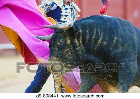 Bullfighting, Maestranza bullring, Sevilla. Andalucia, Spain View Large Photo Image Stock Image - Bullfighting, Maestranza bullring, Sevilla. Andalucia, Spain. Fotosearch