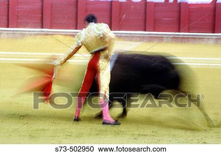 Bullfighting. View Large Photo Image Stock Image - Bullfighting.. Fotosearch