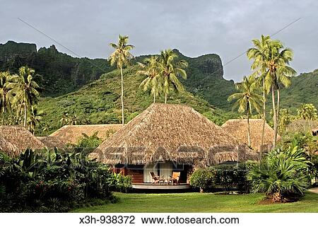 bungalow sur la plage, hotel Moorea Pearl Resort sur l? ile Moorea, iles de la Societe, archipel de la Polynesie francaise, ocean pacifique sud View Large Photo Image Stock Image - bungalow sur la plage, hotel Moorea Pearl Resort sur l? ile Moorea, iles de la Societe, archipel de la Polynesie francaise, ocean pacifique sud. Fotosearch