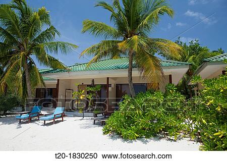 Bungalows of Eriyadu Island, North Male Atoll, Maldives View Large Photo Image Stock Image - Bungalows of Eriyadu Island, North Male Atoll, Maldives. Fotosearch