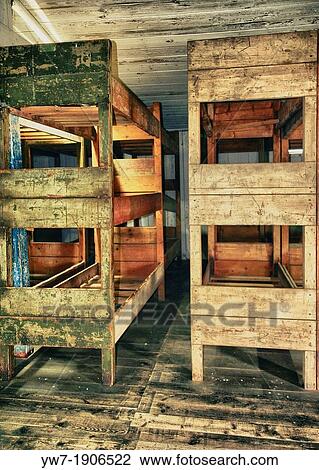 Bunker beds at Stutthof concentration camp. Stutthof was the first German Nazi concentration camp built outside of 1937 German borders, Sztutowo, Poland View Large Photo Image Stock Image - Bunker beds at Stutthof concentration camp. Stutthof was the first German Nazi concentration camp built outside of 1937 German borders, Sztutowo, Poland. Fotosearch