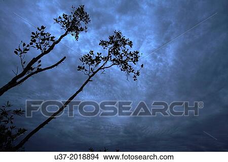Buntal fishing village at dawn. View Large Photo Image Picture - Buntal fishing village at dawn.. Fotosearch