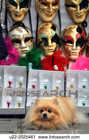 Stock Image - Burano, Veneto, Italy, dog and Carnival masks. Fotosearch
