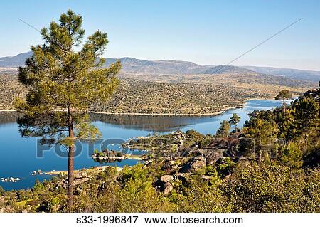 Burguillo reservoir. Avila. Castilla Leon. Spain. View Large Photo Image Stock Photo - Burguillo reservoir. Avila. Castilla Leon. Spain.. Fotosearch