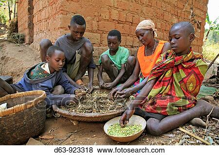 Burundi. Nduwamahoro, active non-violence peace building project, supported by SCIAF. In the home of grandmother Ntezahorigwa Pelagie, 60. The family preparing food: taking beans from their pods, cleaning peas and peeling cassava, their staple diet View Large Photo Image Stock Photo - Burundi. Nduwamahoro, active non-violence peace building project, supported by SCIAF. In the home of grandmother Ntezahorigwa Pelagie, 60. The family preparing food: taking beans from their pods, cleaning peas and peeling cassava, their staple diet. Fotosearch