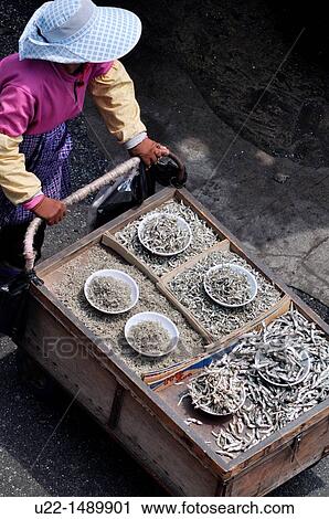 Busan (South Korea): a woman selling dry fish at the Sindonga-Jagalchi Market View Large Photo Image Stock Image - Busan (South Korea): a woman selling dry fish at the Sindonga-Jagalchi Market. Fotosearch