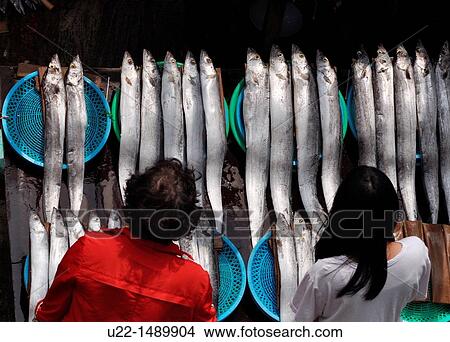Busan (South Korea): two women buying fish by the Jagalchi Market View Large Photo Image Picture - Busan (South Korea): two women buying fish by the Jagalchi Market. Fotosearch