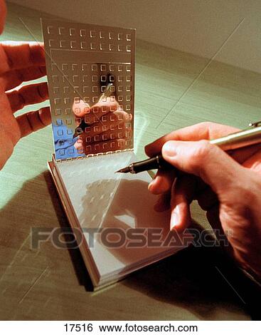 Business reflection View Large Photo Image Stock Photograph - Business reflection. Fotosearch