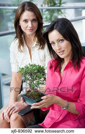 Business View Large Photo Image Stock Image - Business. Fotosearch