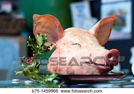 Business View Large Photo Image Stock Photograph - Business. Fotosearch