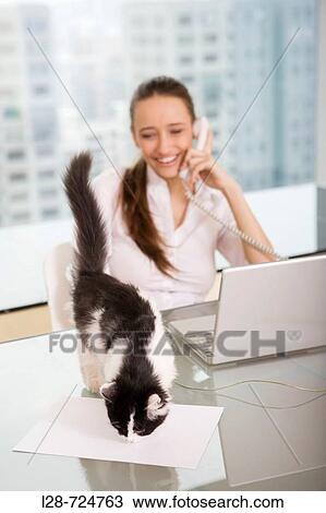 business woman using computer and telephone View Large Photo Image Stock Image - business woman using computer and telephone. Fotosearch