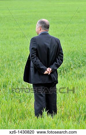 Businessman standing backward in the field View Large Photo Image Stock Image - Businessman standing backward in the field. Fotosearch
