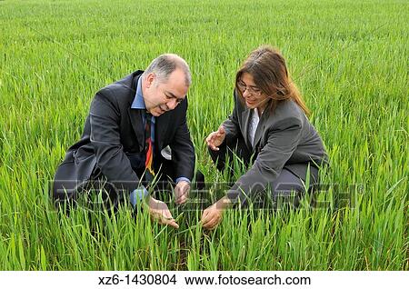 businesswoman and businessman analyzing a plantation View Large Photo Image Picture - businesswoman and businessman analyzing a plantation. Fotosearch