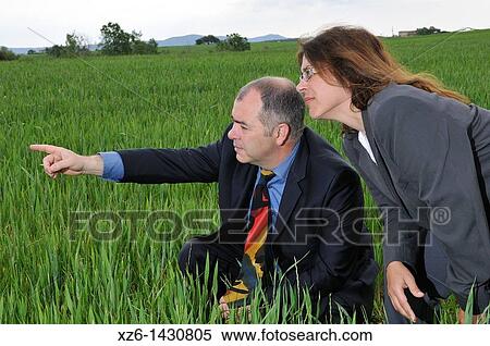 businesswoman and businessman analyzing a plantation View Large Photo Image Stock Photography - businesswoman and businessman analyzing a plantation. Fotosearch