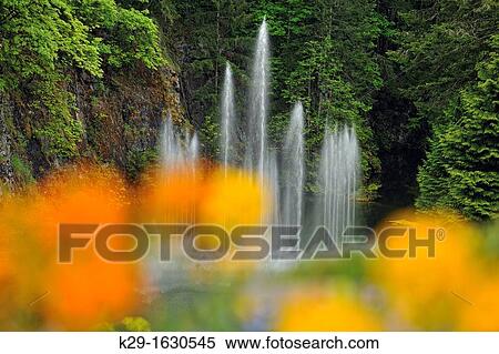 Stock Photography - Butchart Gardens- Ross Fountain, Victoria, BC, Canada. Fotosearch