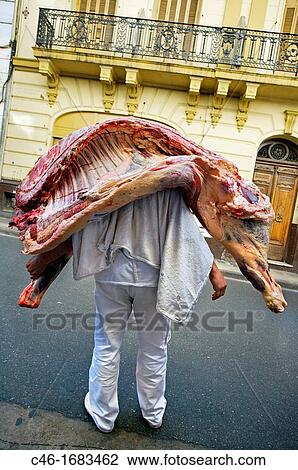 Stock Image - Butcher with a cow, Buenos Aires, Argentina.. Fotosearch