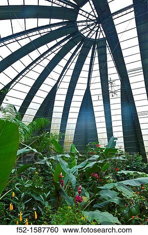 Butterfly greenhouse, Santa Elena Cloud Forest Nature Reserve, Costa Rica, Central America, America. View Large Photo Image Stock Image - Butterfly greenhouse, Santa Elena Cloud Forest Nature Reserve, Costa Rica, Central America, America.. Fotosearch