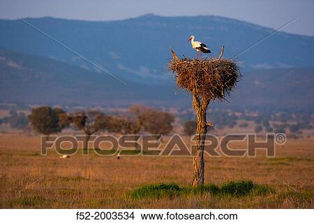 Cabaeros National Park, Montes de Toledo, Ciudad Real Toledo, Castilla-La Mancha, Spain, Europe View Large Photo Image Picture - Cabaeros National Park, Montes de Toledo, Ciudad Real Toledo, Castilla-La Mancha, Spain, Europe. Fotosearch