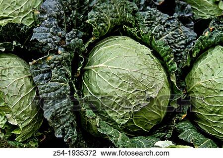 Stock Image - Cabbages for sale in a street market, Spain. Fotosearch