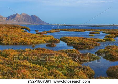 Cabo de Gata, Almadraba de Monteleva, Saltworks, Cabo de Gata-Nijar Natural Park, Biosphere Reserve, Almeria province, Andalusia, Spain, Europe View Large Photo Image Stock Image - Cabo de Gata, Almadraba de Monteleva, Saltworks, Cabo de Gata-Nijar Natural Park, Biosphere Reserve, Almeria province, Andalusia, Spain, Europe. Fotosearch