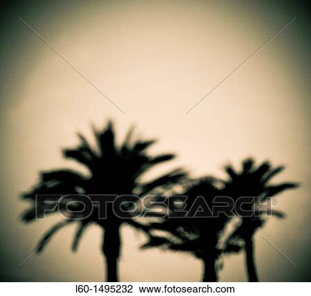 Cabo de Gata, Almeria, Spain View Large Photo Image Stock Image - Cabo de Gata, Almeria, Spain. Fotosearch
