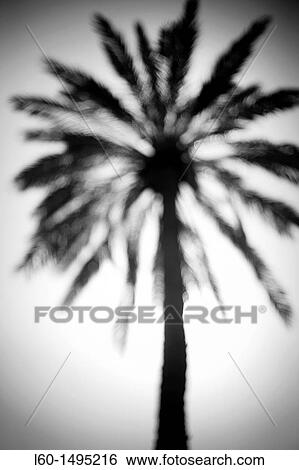Cabo de Gata, Almeria, Spain View Large Photo Image Stock Photograph - Cabo de Gata, Almeria, Spain. Fotosearch