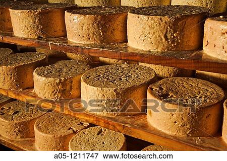 Cabrales Cheese Cave. Cheese fermentation of Bada family. Tielve. Cabrales. Picos de Europa. Oriente region. Asturias. Spain. View Large Photo Image Stock Photo - Cabrales Cheese Cave. Cheese fermentation of Bada family. Tielve. Cabrales. Picos de Europa. Oriente region. Asturias. Spain.. Fotosearch