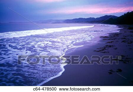 Cahuita National Park. Costa Rica. View Large Photo Image Stock Image - Cahuita National Park. Costa Rica.. Fotosearch